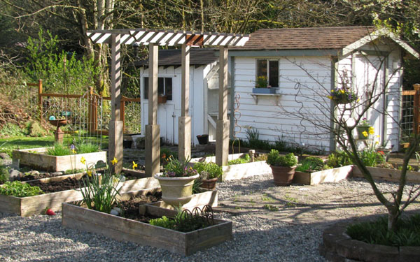 Yard_006
