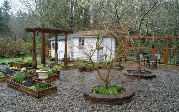Yard_DSC02878