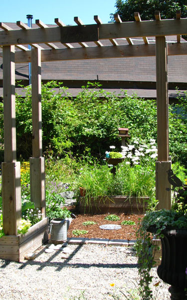 Yard_Picture006