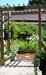 Yard_Picture006